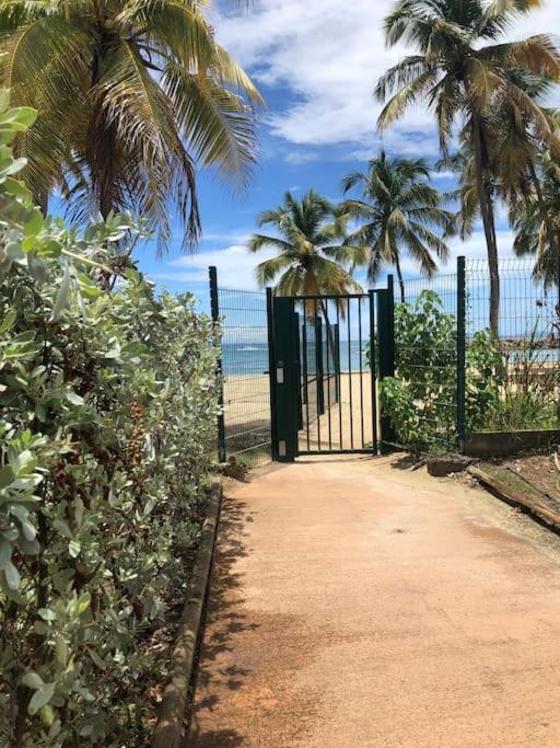 Soleiade Le Gosier - Acces Plage Exterior foto